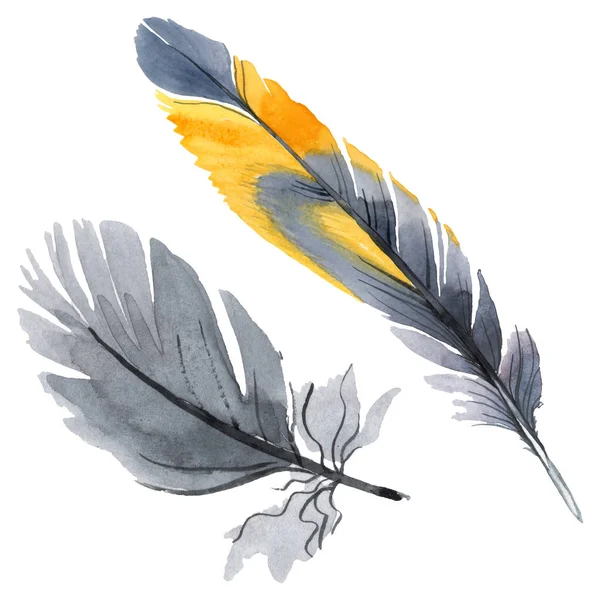 날개에서 고립 된 다채로운 새 깃털. 수채화 배경 일러스트 세트입니다. 격리된 페더 일러스트 레이션 요소. — 스톡 사진