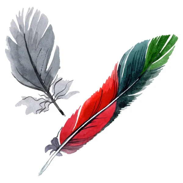 날개에서 고립 된 다채로운 새 깃털. 수채화 배경 일러스트 세트입니다. 격리된 페더 일러스트 레이션 요소. — 스톡 사진