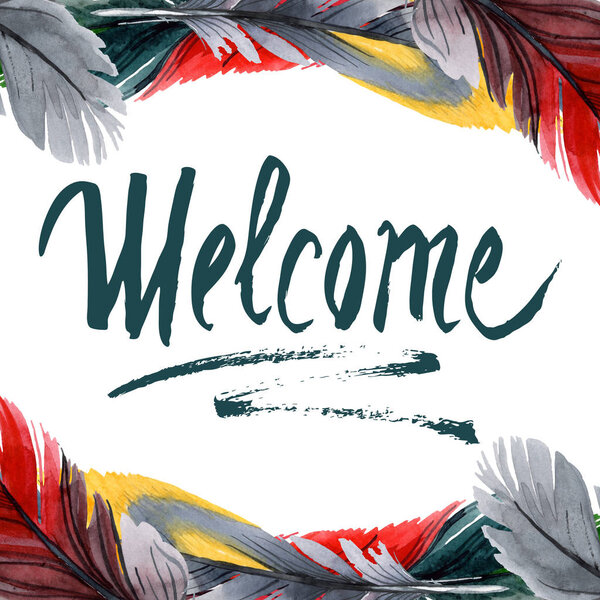 Colorful bird feather from wing isolated. Watercolor background illustration set. Frame border ornament square.