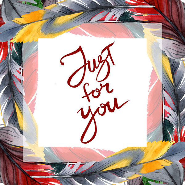 Colorful bird feather from wing isolated. Watercolor background illustration set. Frame border ornament square.