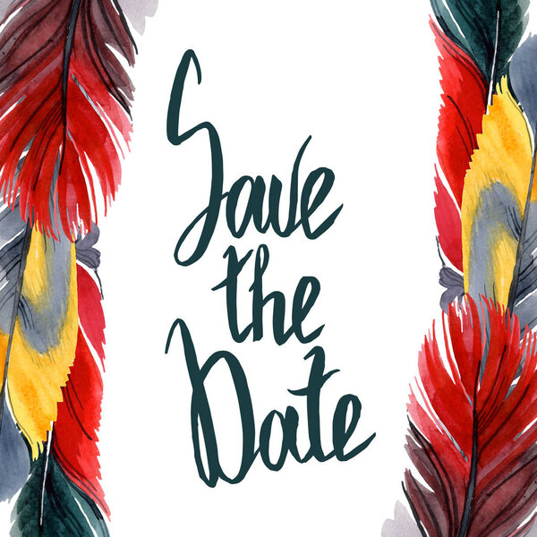 Colorful bird feather from wing isolated. Watercolor background illustration set. Frame border ornament square.