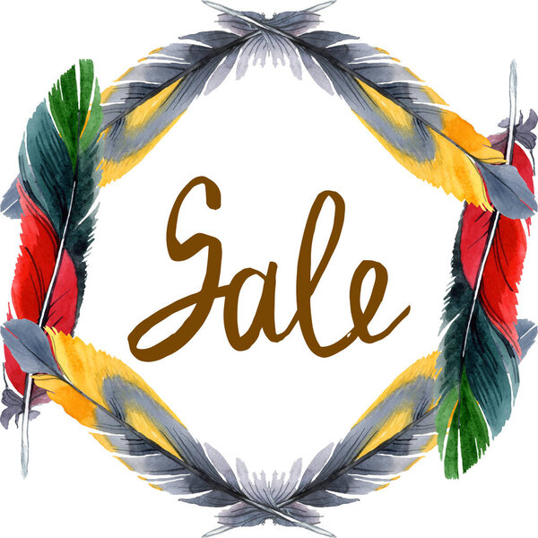 Colorful bird feather from wing isolated. Watercolor background illustration set. Frame border ornament square.