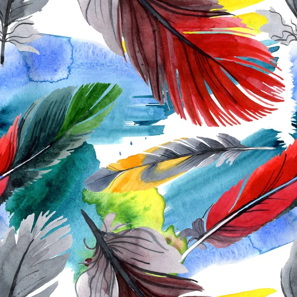 Colorful bird feather from wing isolated. Watercolour drawing fashion aquarelle. Fabric wallpaper print texture. — Stock Photo, Image