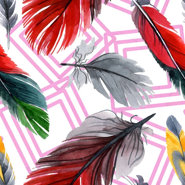 Colorful bird feather from wing isolated. Watercolour drawing fashion aquarelle. Fabric wallpaper print texture. — Stock Photo, Image