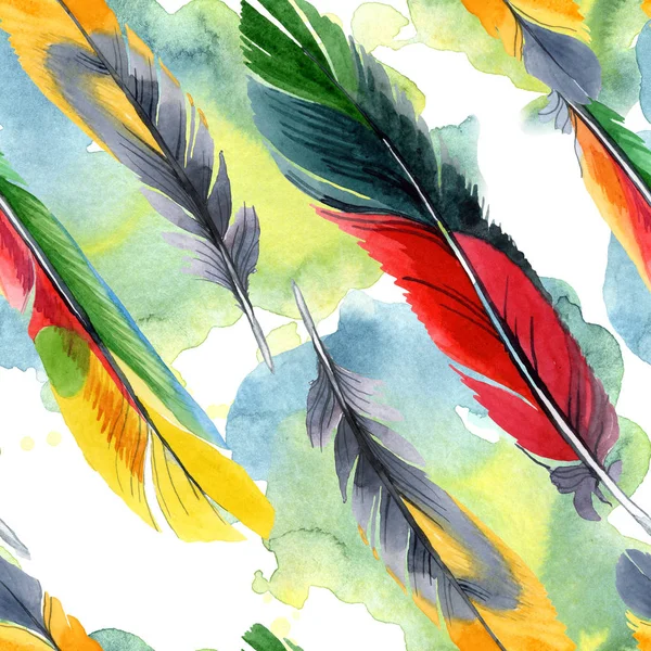 Colorful bird feather from wing isolated. Watercolour drawing fashion aquarelle. Fabric wallpaper print texture. — Stock Photo, Image