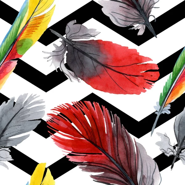 Colorful bird feather from wing isolated. Watercolour drawing fashion aquarelle. Fabric wallpaper print texture. — Stock Photo, Image