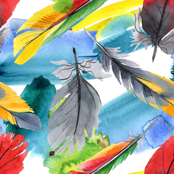 Colorful bird feather from wing isolated. Watercolour drawing fashion aquarelle. Fabric wallpaper print texture. — Stock Photo, Image