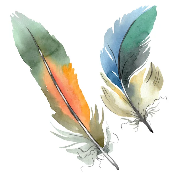 Colorful bird feather from wing isolated. Watercolor background illustration set. Isolated feather illustration element. — Stock Photo, Image