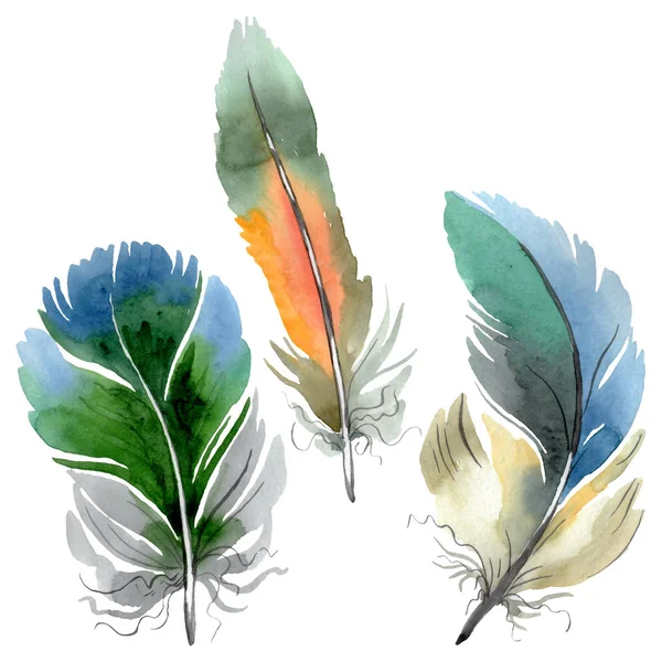 Pluma colorida de pájaro de ala aislada. Conjunto de ilustración de fondo acuarela. Elemento de ilustración de plumas aisladas . —  Fotos de Stock