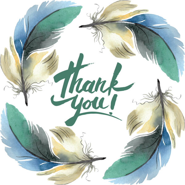 Colorful bird feather from wing isolated. Watercolor background illustration set. Frame border ornament square.