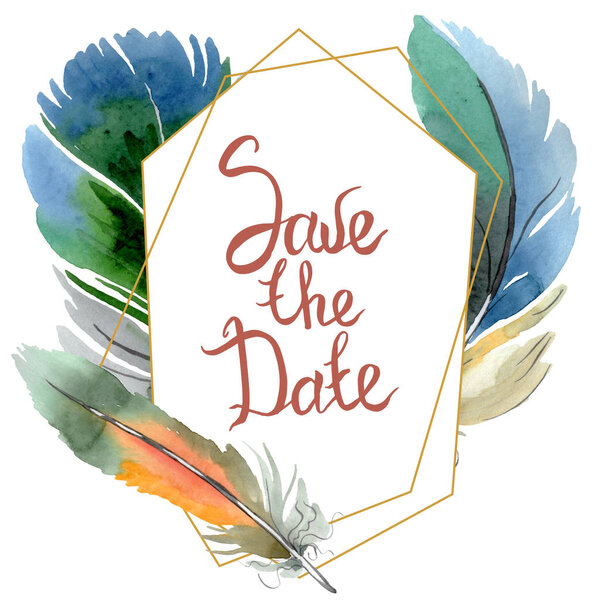 Красочное птичье перо из изолированного крыла. Набор акварельных фонов. Граничный орнамент
.