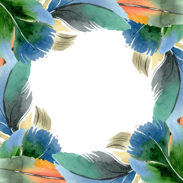 Bunte Vogelfeder vom Flügel isoliert. Aquarell Hintergrundillustration Set. Rahmen Rand Ornament Quadrat. — Stockfoto