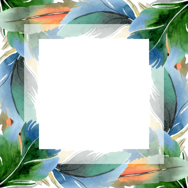 Colorful bird feather from wing isolated. Watercolor background illustration set. Frame border ornament square. — Stock Photo, Image