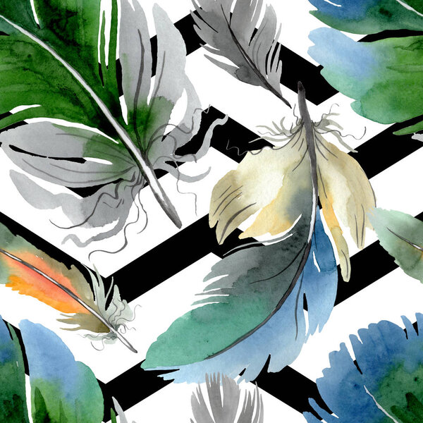 Colorful bird feather from wing isolated. Watercolor background illustration set. Seamless background pattern.