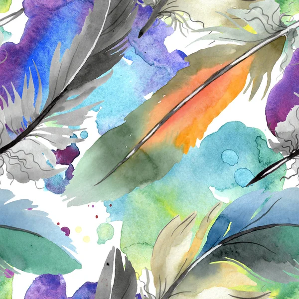 Colorful bird feather from wing isolated. Watercolor background illustration set. Seamless background pattern. — Stock Photo, Image