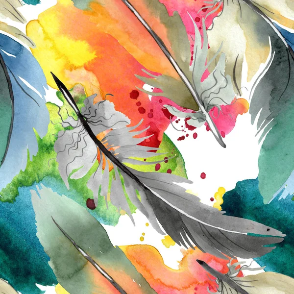 Colorful bird feather from wing isolated. Watercolor background illustration set. Seamless background pattern. — Stock Photo, Image