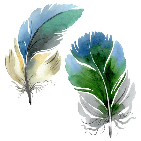 Colorful bird feather from wing isolated. Watercolor background illustration set. Isolated feather illustration element. — Stock Photo, Image
