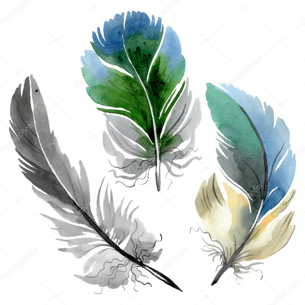 plume #hashtag