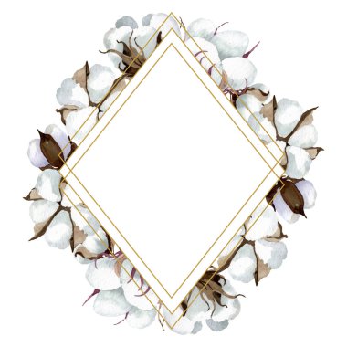 Beyaz pamuk çiçek botanik çiçekler. Suluboya arka plan illüstrasyon seti. Çerçeve kenarlık süs karesi.