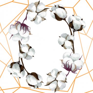 Beyaz pamuk çiçek botanik çiçekler. Suluboya arka plan illüstrasyon seti. Çerçeve kenarlık süs karesi.