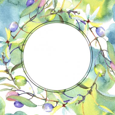 Siyah ve yeşil meyveli zeytin dalı. Suluboya arka plan illüstrasyon seti. Çerçeve kenarlık süs karesi.