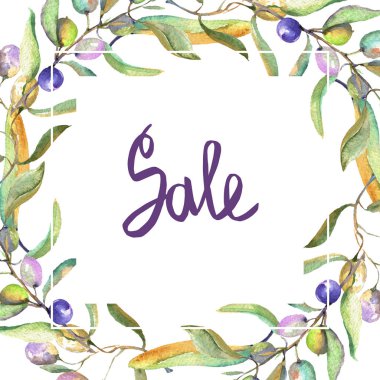 Siyah ve yeşil meyveli zeytin dalı. Suluboya arka plan illüstrasyon seti. Çerçeve kenarlık süs karesi.