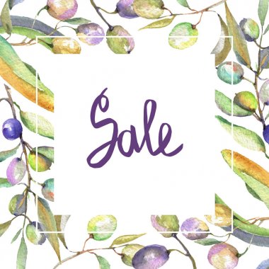 Siyah ve yeşil meyveli zeytin dalı. Suluboya arka plan illüstrasyon seti. Çerçeve kenarlık süs karesi.