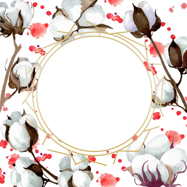 Flores botânicas florais de algodão branco. Conjunto de ilustração de fundo aquarela. Quadro borda ornamento quadrado . — Fotografia de Stock