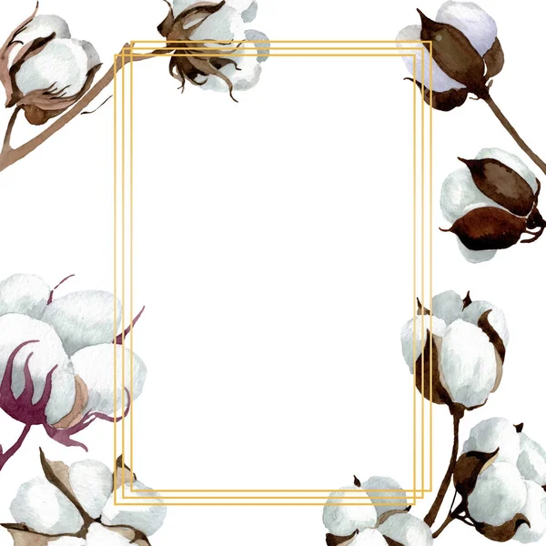 Fehér pamut virágos botanikai virágok. Akvarell háttér illusztráció meg. Keretszegély Dísz tér. — Stock Fotó