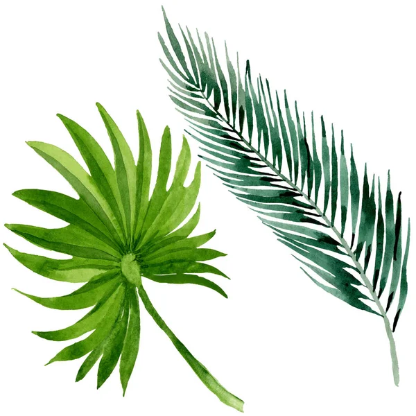 Palme Strand Blätter Dschungel botanischen. Aquarell Hintergrundillustration Set. isolierte Blätter Illustrationselement. — Stockfoto