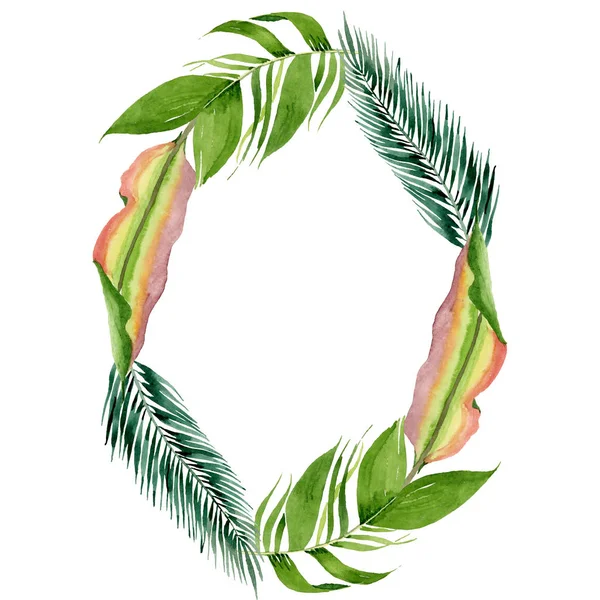 Palm beach tree leaves jungle botanical. Watercolor background illustration set. Frame border ornament square.