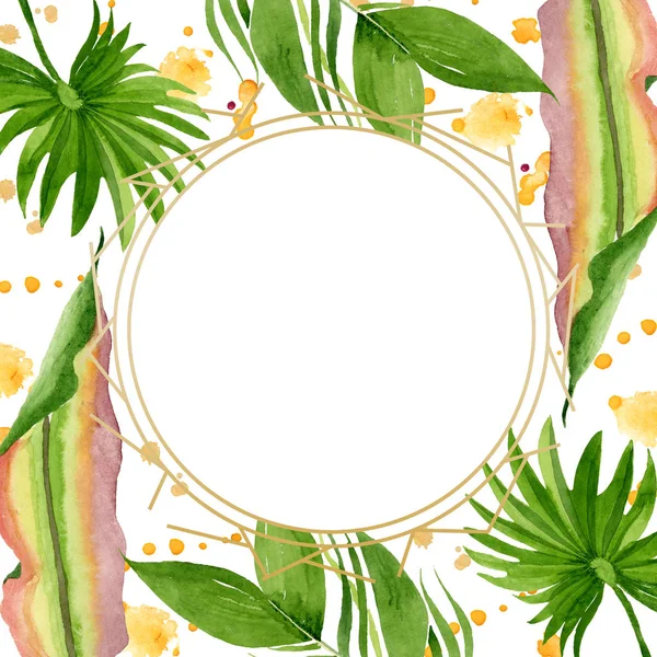 A palmeira da praia deixa a selva botânica. Conjunto de ilustração de fundo aquarela. Quadro borda ornamento quadrado . — Fotografia de Stock
