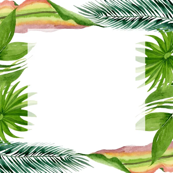 Palm beach tree leaves jungle botanical. Watercolor background illustration set. Frame border ornament square. — Stock Photo, Image