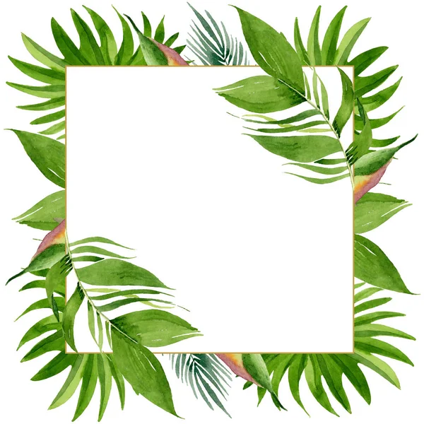 Palm beach tree leaves jungle botanical. Watercolor background illustration set. Frame border ornament square.