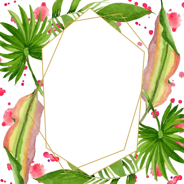 A palmeira da praia deixa a selva botânica. Conjunto de ilustração de fundo aquarela. Quadro borda ornamento quadrado . — Fotografia de Stock