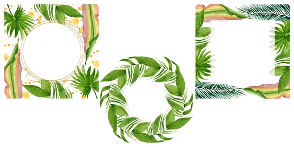 Palm beach tree leaves jungle botanical. Watercolor background illustration set. Frame border ornament square.