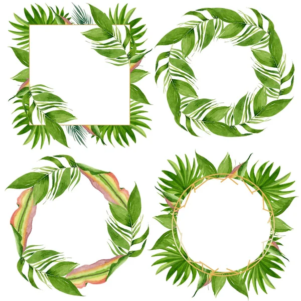 Palm beach tree leaves jungle botanical. Watercolor background illustration set. Frame border ornament square.