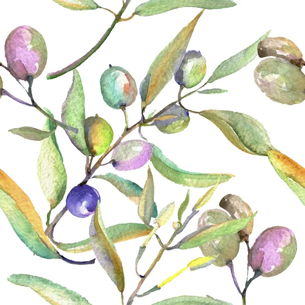 Branche d'olivier aux fruits noirs et verts. Ensemble d'illustration de fond aquarelle. Modèle de fond sans couture . — Photo