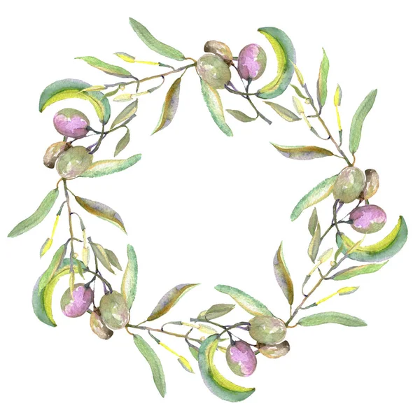 Olive ág, fekete és zöld gyümölcsök. Akvarell háttér illusztráció meg. Keretszegély Dísz tér. — Stock Fotó