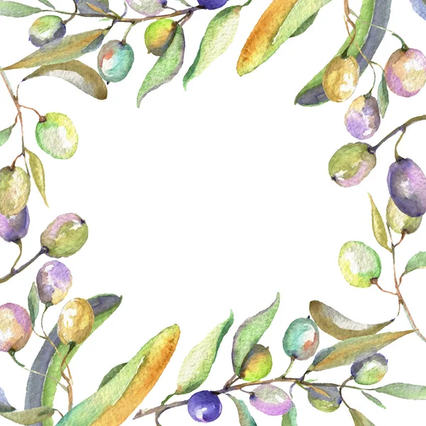 Olive branch with black and green fruit. Watercolor background illustration set. Frame border ornament square. — Stock Photo, Image