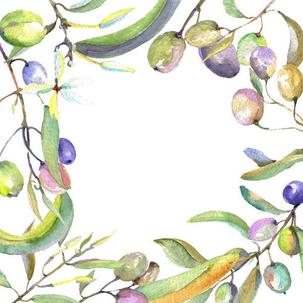 Olive branch with black and green fruit. Watercolor background illustration set. Frame border ornament square. — Stock Photo, Image