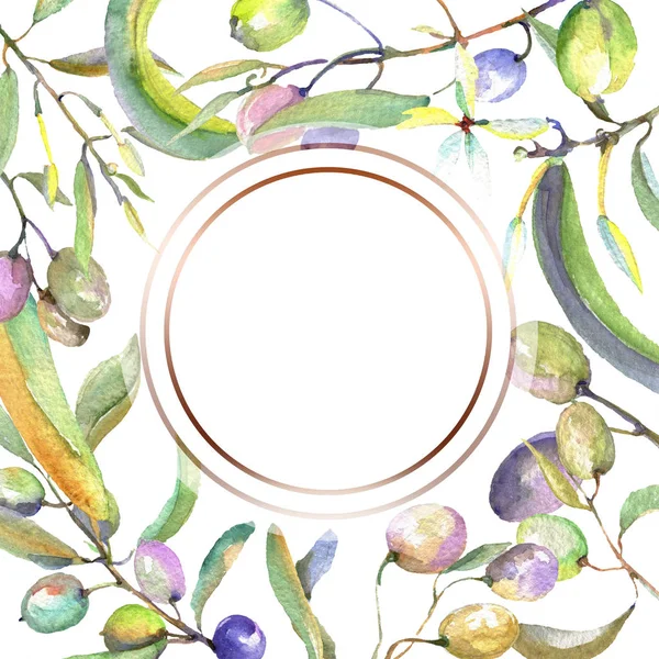 Olive branch with black and green fruit. Watercolor background illustration set. Frame border ornament square. — Stock Photo, Image
