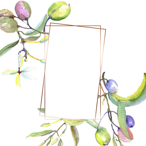 Оливковая ветвь с черными и зелеными фруктами. Набор акварельных фонов. Граничный орнамент
.