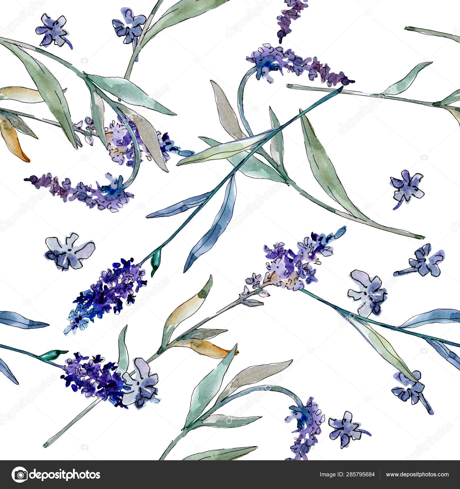 薰衣草花卉植物花 水彩背景插图集 无缝背景模式 图库照片 C Andreyanush 薰衣草花卉植物花 水彩背景插图集 无缝背景模式 图库照片 C Andreyanush