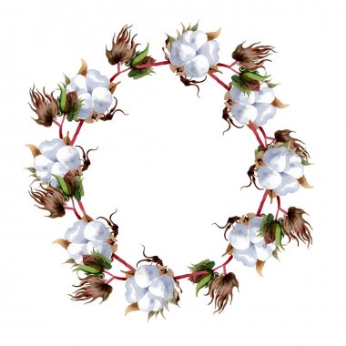 Pamuk çiçek botanik çiçekler. Yabani bahar yaprağı kır çiçeği izole. Suluboya arka plan illüstrasyon seti. Suluboya çizim moda aquarelle izole. Çerçeve kenarlık süs karesi.