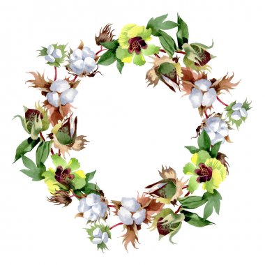 Pamuk çiçek botanik çiçekler. Yabani bahar yaprağı kır çiçeği izole. Suluboya arka plan illüstrasyon seti. Suluboya çizim moda aquarelle izole. Çerçeve kenarlık süs karesi.