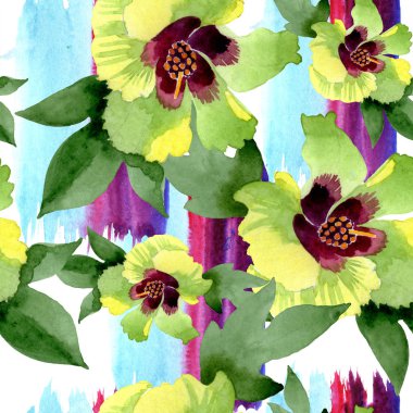 Pamuk çiçek botanik çiçekler. Yabani bahar yaprağı kır çiçeği. Suluboya illüstrasyon seti. Suluboya çizim moda aquarelle. Kusursuz arka plan deseni. Kumaş duvar kağıdı baskı doku.