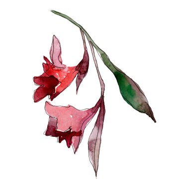 Egzotik tropikal çiçekler hawaii yaz. Palmiye plaj ağacı orman botanik bırakır. Suluboya arka plan illüstrasyon seti. Suluboya çizim moda aquarelle. İzole çiçek illüstrasyon elemanı.