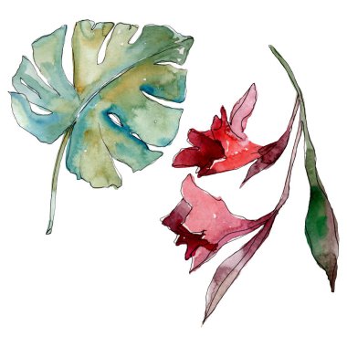 Egzotik tropikal Hawaii yaz. Palmiye plaj ağacı orman botanik bırakır. Suluboya arka plan illüstrasyon seti. Suluboya çizim moda aquarelle izole. Yalıtılmış yapraklar illüstrasyon elemanı.