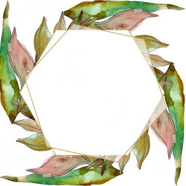 Egzotik tropikal Hawaii yaz. Palmiye plaj ağacı orman botanik bırakır. Suluboya arka plan illüstrasyon seti. Suluboya çizim moda aquarelle izole. Çerçeve kenarlık süs karesi.
